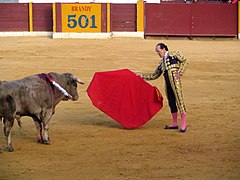 Frank Evans kämpft gegen einen Stier, Spanien