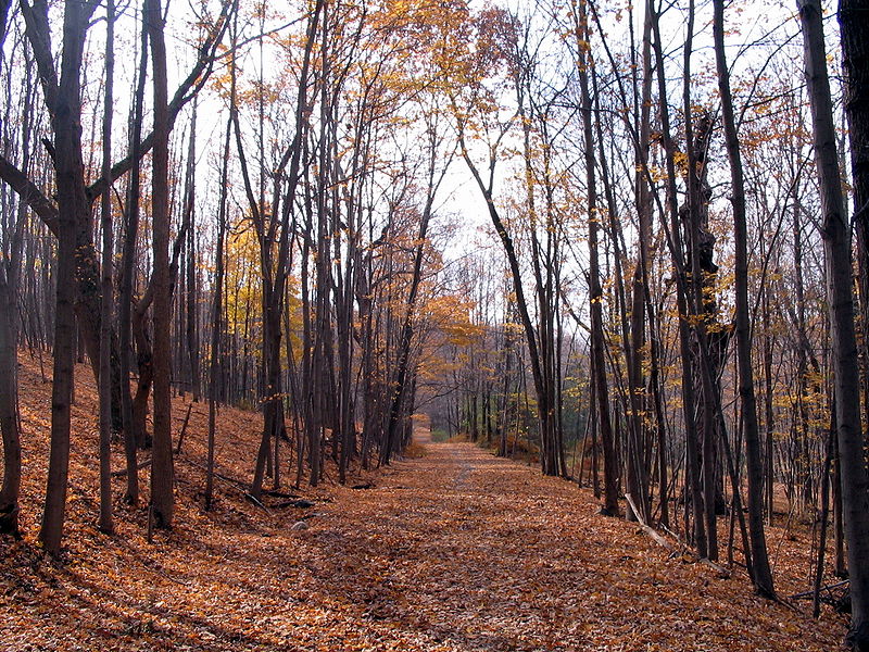 File:Gooseond trail.jpg