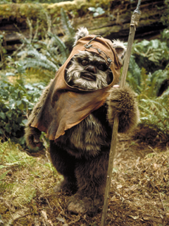 Wicket W. Warrick Star Wars character