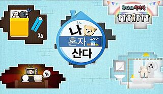 <i>I Live Alone</i> (TV series) South Korean entertainment program