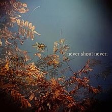 Never Shout Never (EP) - Wikipedia