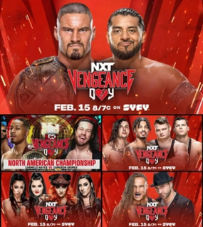<span class="mw-page-title-main">NXT Vengeance Day (2022)</span> WWE television special