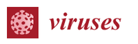 Viruslar-logo.png