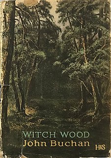 <i>Witch Wood</i> 1927 novel by John Buchan