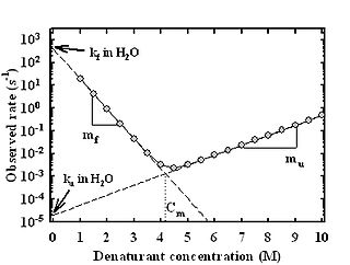 Chevron plot Graph of protein folding kinetics