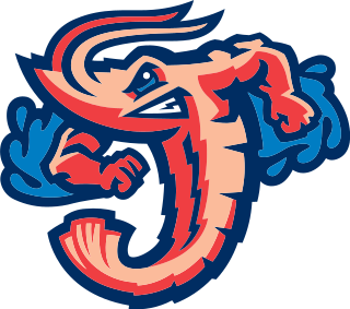 <span class="mw-page-title-main">Jacksonville Jumbo Shrimp</span> Minor League Baseball team