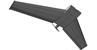 Carcara UAV