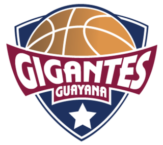 <span class="mw-page-title-main">Gigantes de Guayana</span> Basketball team in Bolívar State, Venezuela