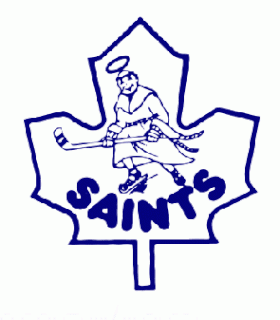 Newmarket Saints Defunct American Hockey League team