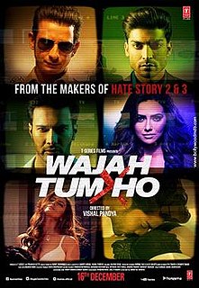 <i>Wajah Tum Ho</i> 2016 film by Vishal Pandya