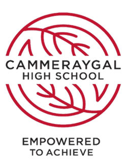 <span class="mw-page-title-main">Cammeraygal High School</span> School in Australia