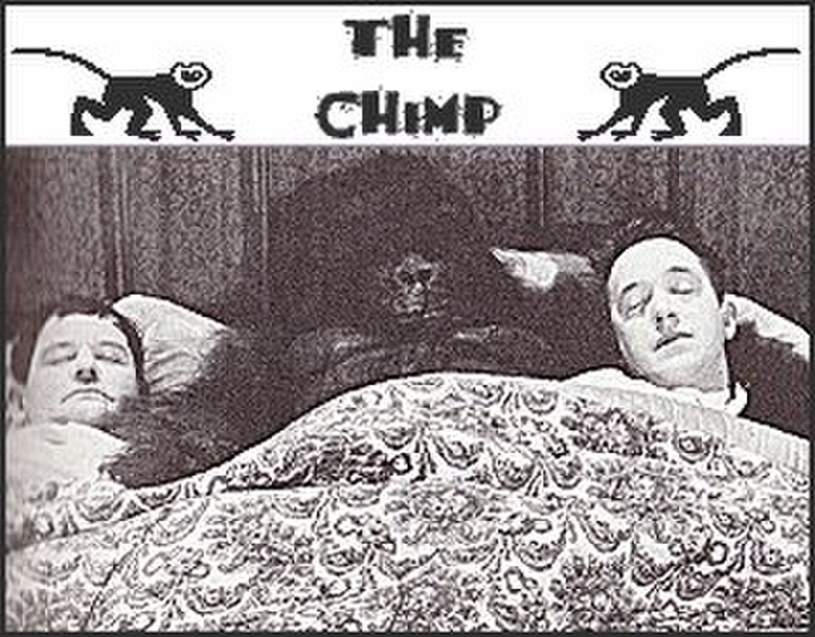 The Chimp