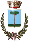 Wappen von Pignataro Maggiore