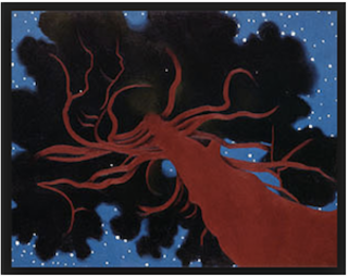 <i>The Lawrence Tree</i> 1929 painting by Georgia OKeeffe