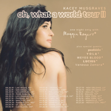 Oh, What A World Tour II Poster.png