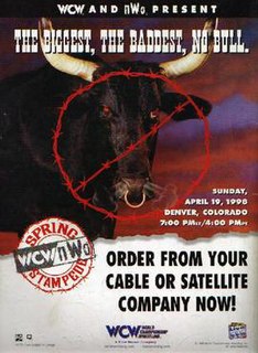 Spring Stampede (1998) 1998 World Championship Wrestling pay-per-view event