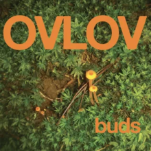 Buds, by Ovlov.webp