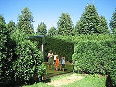 Two-Way Mirror Punched Steel Hedge Labyrinth. Family in a box, Minneapolis photo by Wendy Seltzer