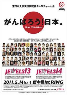 Jewels 13th Ring & 14th Ring Jewels MMA event in 2011