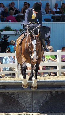 A rider jumping in a sidesaddle class at the Devon Horse Show Sidesaddle jumping devon pa.jpg