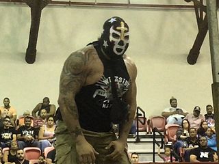 <span class="mw-page-title-main">El Nazareno</span> Puerto Rican professional wrestler