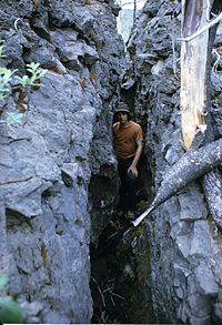 Fissure in Flourmill lava flow Flourmill lava flow.jpg