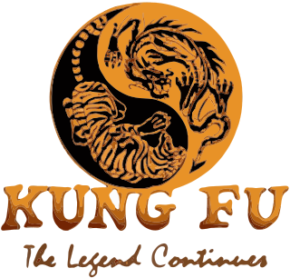 <i>Kung Fu: The Legend Continues</i> Television series