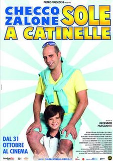 <i>Sole a catinelle</i> 2013 Italian film