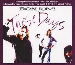 <span class="mw-page-title-main">These Days (Bon Jovi song)</span> 1996 single by Bon Jovi