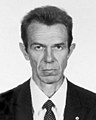 Sergey Kalinitschew - Wikipedia