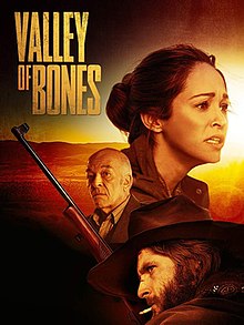 Filmski plakat Dolina kostiju.jpg