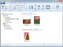 Windows Photo Gallery 2012 screenshot.png