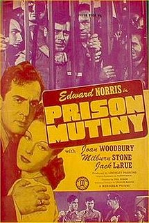 <i>You Cant Beat the Law</i> 1943 film by Phil Rosen