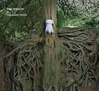 <span class="mw-page-title-main">The Widow (song)</span> 2005 single by The Mars Volta