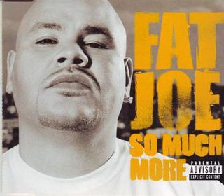 So Much More (song) 2005 single by Fat Joe