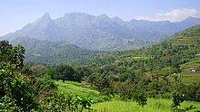 A view of the Malleswaram peak