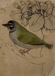 File:Painting of a Bird - Google Art Project.jpg