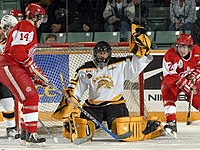 Aurora @ Royal Bank Cup 2007 Aurora Tigers RBC 2007.JPG