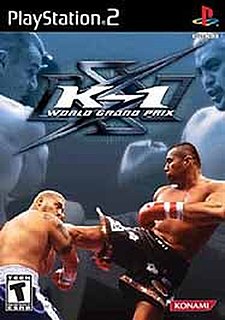 <i>K-1 World Grand Prix</i> (video game) 2002 video game