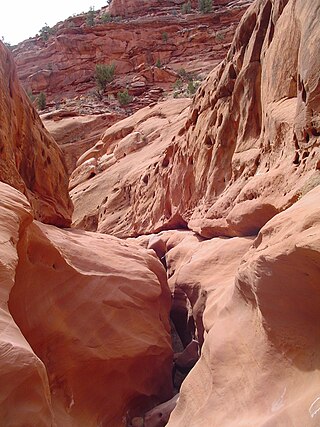 <span class="mw-page-title-main">Death Hollow</span> Slot canyon in Utah, United States