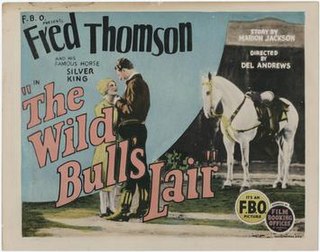 <i>The Wild Bulls Lair</i> 1925 film