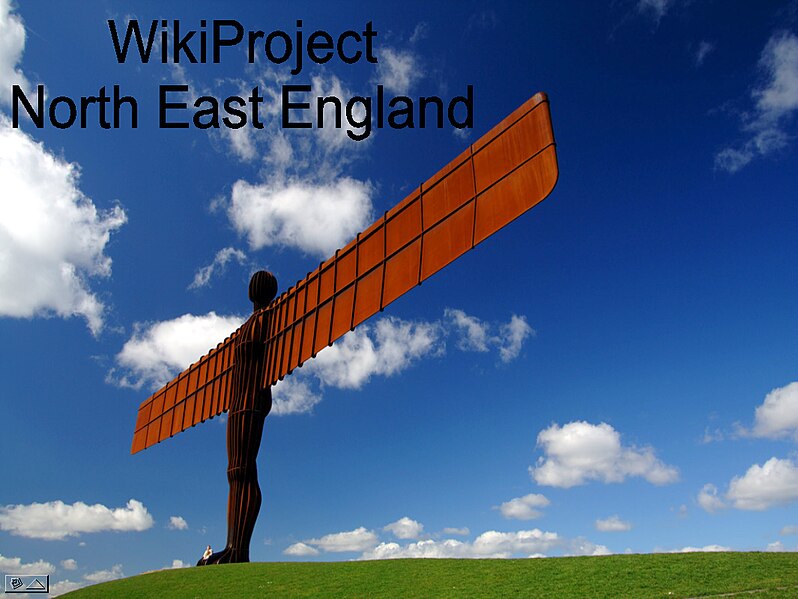 File:WikiProject North East England logo.jpg