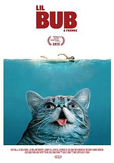 <i>Lil Bub & Friendz</i> 2013 American film