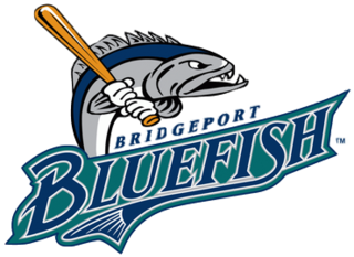 <span class="mw-page-title-main">Bridgeport Bluefish</span> Minor league professional baseball team in Bridgeport, Connecticut, United States