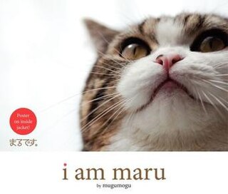 Maru (cat) Japanese cat, YouTube sensation