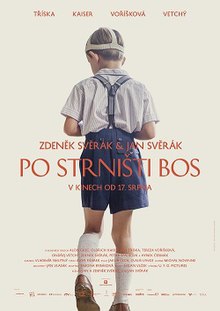 Po strnisti bos Poster.jpg