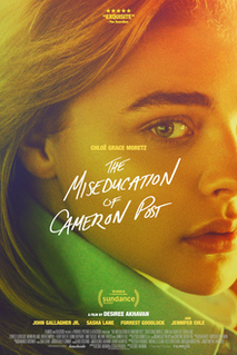 <i>The Miseducation of Cameron Post</i> (film)