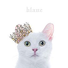 Best Selection (Aimer album) - Wikipedia