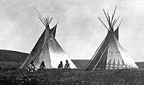 Piegan-Blackfoot Tipis