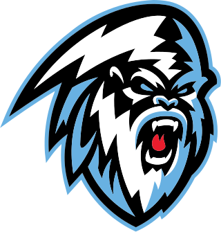 <span class="mw-page-title-main">Winnipeg Ice</span> Western Hockey League team in Winnipeg, Manitoba (2019-2023)